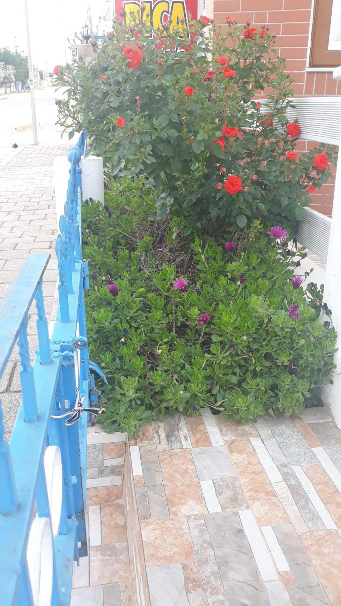 Vila Shuka Ksamil Sarandë Eksteriør bilde
